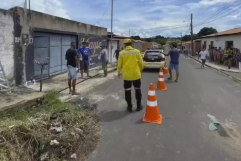 PROFESSORA TENTA SALVAR FILHO DE DESCARGA ELÉTRICA EM TIMON E MORRE ELETROCUTA   DA COM ELE.